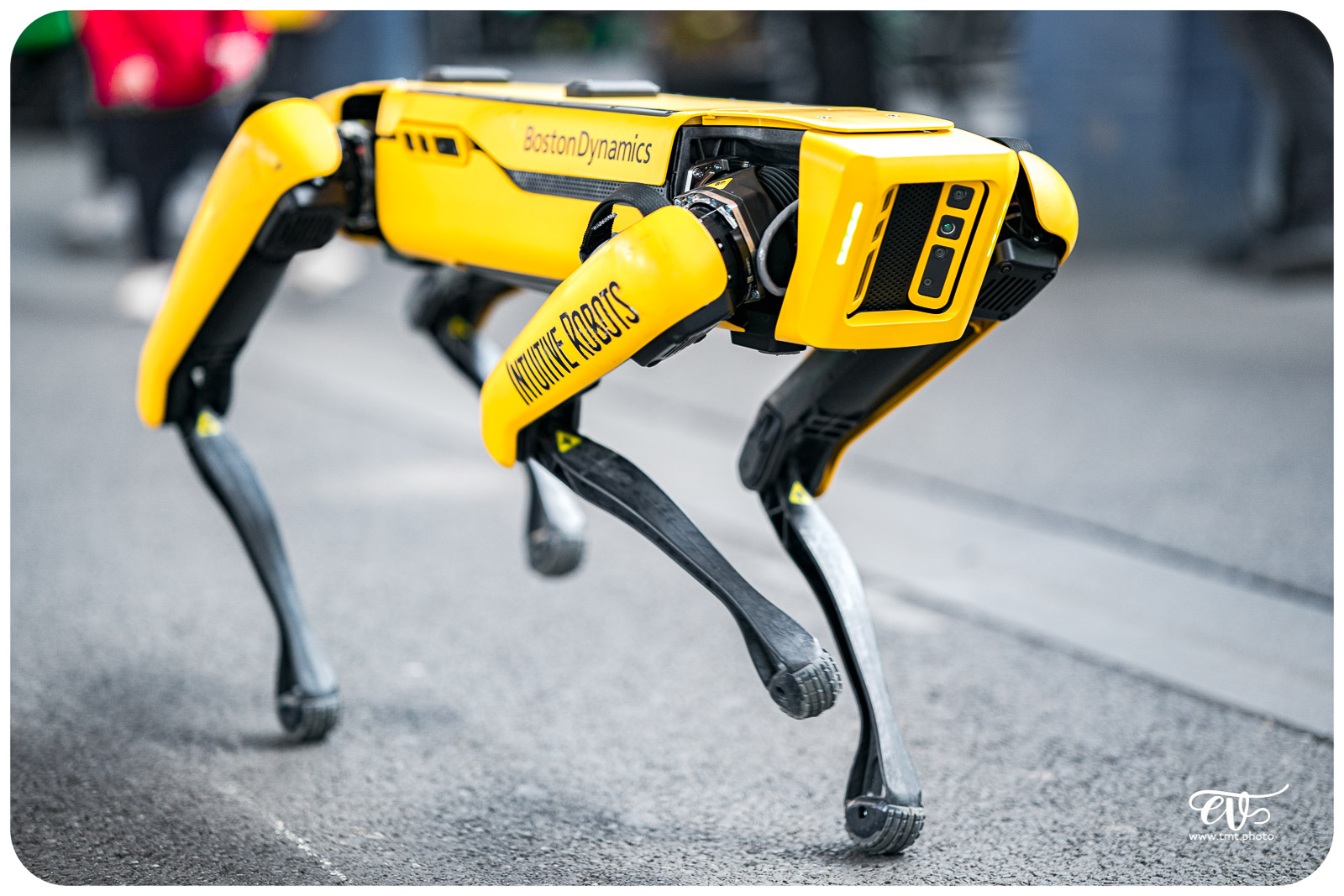 SPOT (BOSTONDYNAMICS)